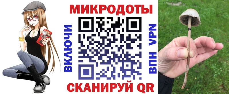 наркотики Междуреченск Псилоцибиновые грибы Cubensis